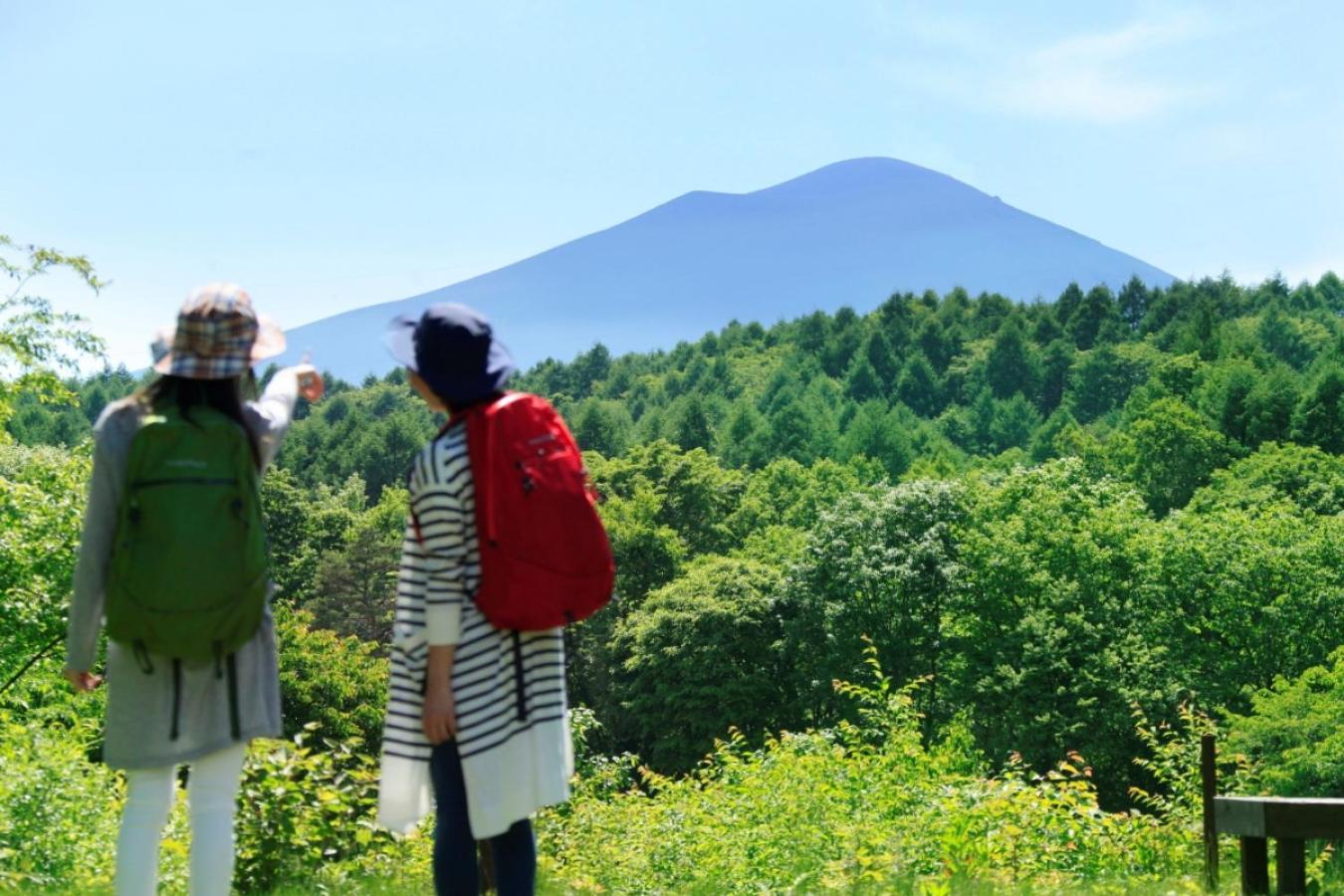 Kita-karuisawa Ana Holiday Inn Resort Karuizawa By Ihg מראה חיצוני תמונה